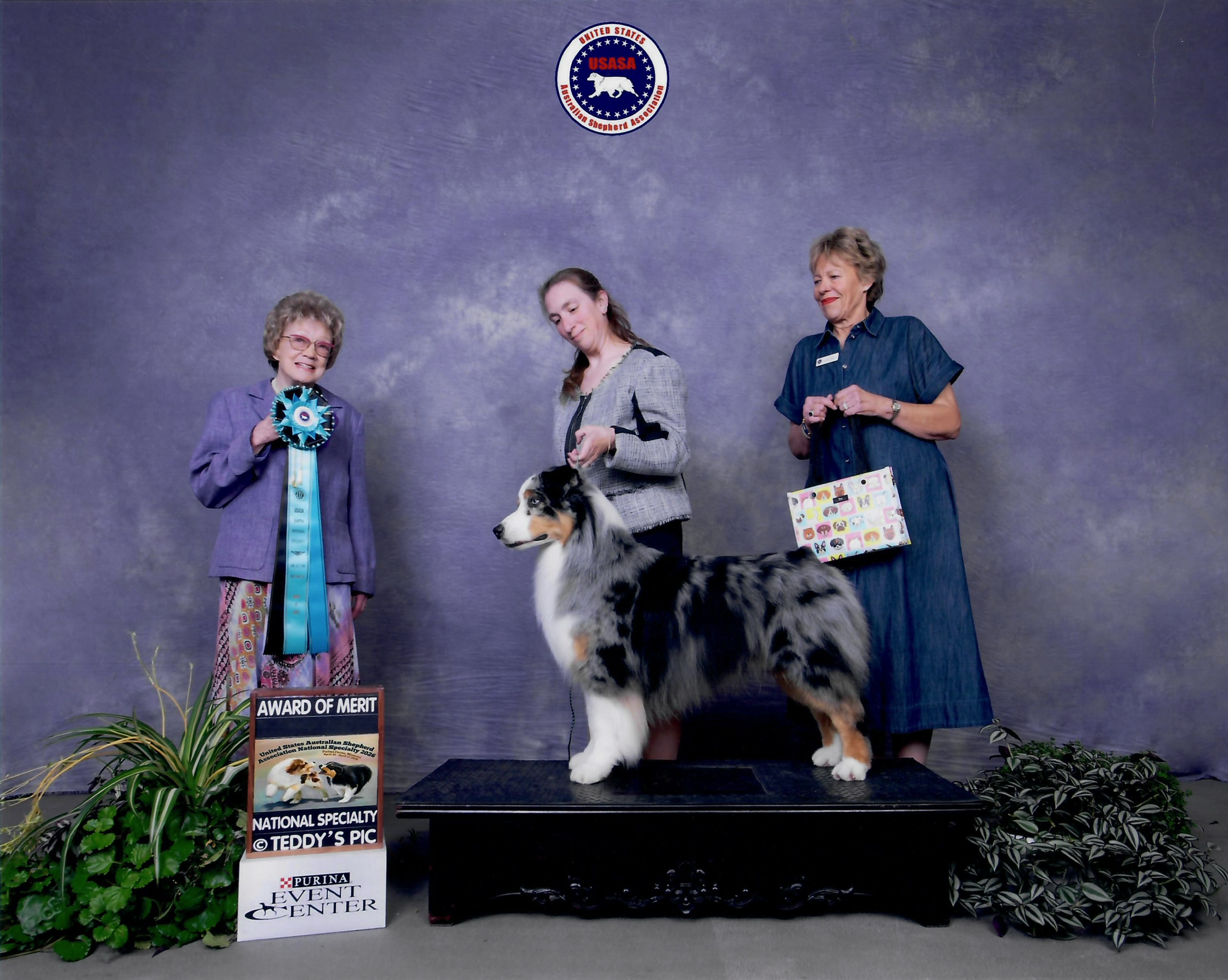 Diezel receiving an Award of Merit at the 2026 USASA National Specialty show